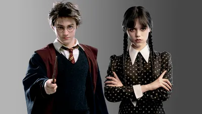 Гарри Поттер и Уэнсдей - о сходствах и различиях | Омут памяти | Дзен