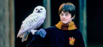 Гарри Поттер»: все фильмы от худшего к лучшему | Кино | Мир фантастики и  фэнтези