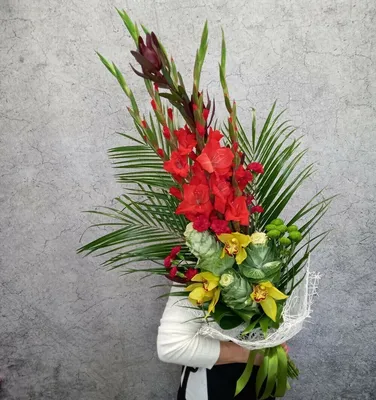 Гладиолус красный - заказать и купить цветы с доставкой | Donpion
