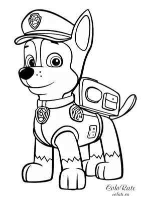 Щенячий патруль в кино»: интерактивный щенок Гонщик (Paw Patrol) · eToys