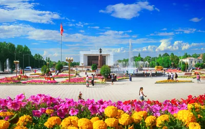 Бишкек признан городом с самым грязным воздухом в мире