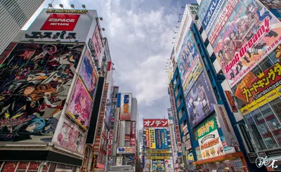 Про японские города. Впечатления от Токио, Осаки, Киото и Фукуоки | Пикабу