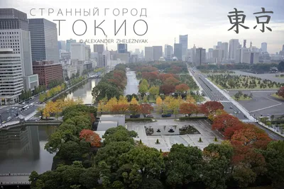 Город Токио, урбанизм, 4k, красиво, …» — создано в Шедевруме