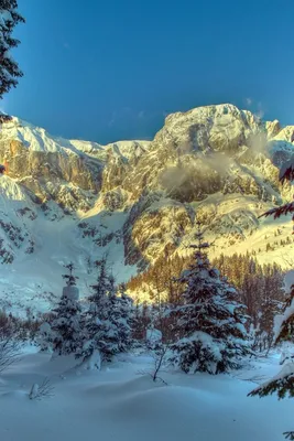 640x960 Обои зима, горы, австрия, снег, деревья, ель, альпы, природа |  Пейзажи, Натуральный, Природа