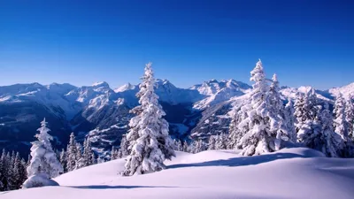 Картинка зима. Горы, ели, снег. | Картинки снега, Зимние картинки, Пейзажи
