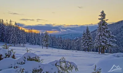 Зима в горах — Artlolyan