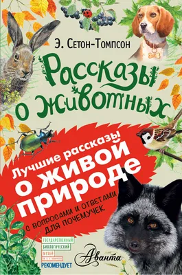 Рассказы о животных для детей Издательство Стрекоза 6212065 купить за 370 ₽  в интернет-магазине Wildberries