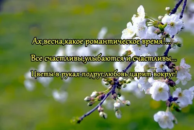 Стихотворение А.С. Пушкин \"Весна, весна, пора любви\" (Стихи Русских Поэтов)  Аудио Стихи Онлайн - YouTube