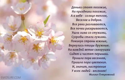 Красивые стихи о весне | Стихи, Весна, Цитаты