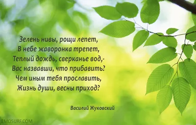 Весна. Читаем и заучиваем весенние стихи. Воспитателям детских садов,  школьным учителям и педагогам - Маам.ру