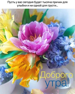 Марина Алекминская on Instagram: “Яркого дня вам!🌼☘️🌸🦋🌺” | Floral,  Congrats, Spring