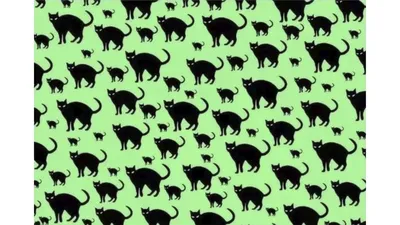 Оптическая иллюзия: сколько кроликов на картинке | Психология и Факты | Дзен