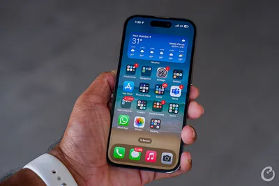 Best iPhone in 2024: Which Apple Phone Should You Buy? - CNET