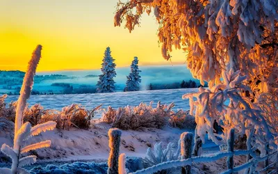 Сказка зимы, сильный снегопад Стоковое Изображение - изображение  насчитывающей облако, парк: 37796257