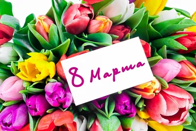 Красивые и нежные поздравления с 8 Марта | 7Дней.ru