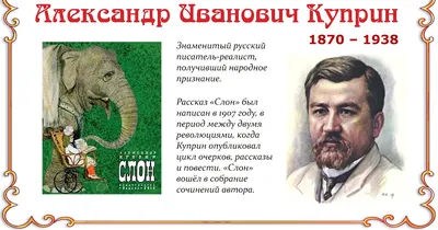 Слон. Александр Куприн - «Главная мысль рассказа \"Слон\" А. Куприна.  Читательский дневник.» | отзывы