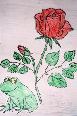 Рисунок на тему жаба и роза (69 фото) » Рисунки для срисовки и не только
