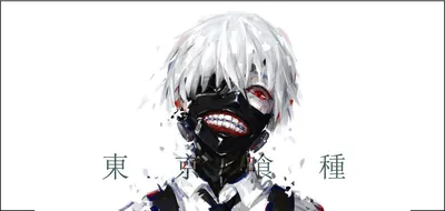 Маска Аниме Канеки Кена Косплей Токийский Гуль - Tokyo Ghoul — Купить на  BIGL.UA ᐉ Удобная Доставка (1672825823)