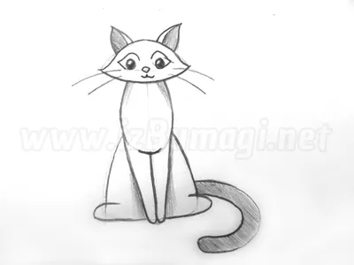 человек рисует карандашом по кошке на бумаге, как нарисовать кошку на  картинке, Рисование, животное фон картинки и Фото для бесплатной загрузки