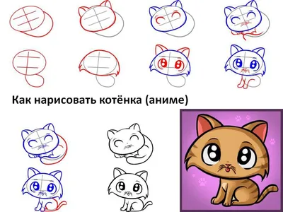 Рисуем поэтапно кошку