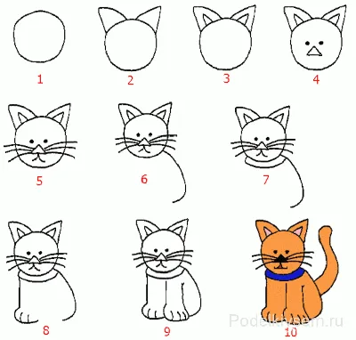 Как нарисовать кошку поэтапно карандашом легко и красиво (104 фото).  Мастер-класс от художника, как рисовать красивую кошку
