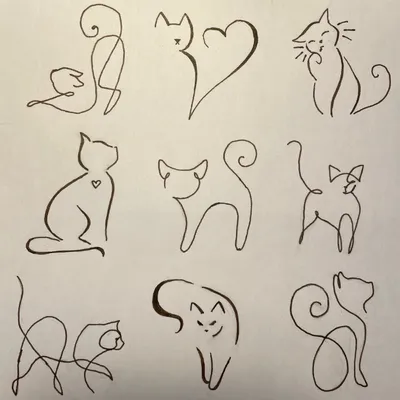 Как нарисовать кошку поэтапно карандашом легко и красиво (104 фото).  Мастер-класс от художника, как рисовать красивую кошку