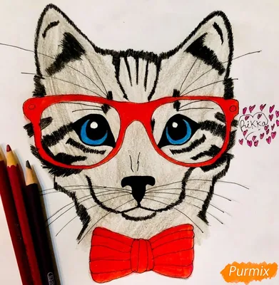 Британская кошка. Портрет кошки на заказ. Цветные карандаши – заказать на  Ярмарке Мастеров – LUDMUBY | Картины, Алматы