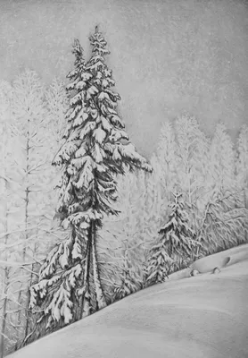 Зимний вечер рисунок карандашом - 76 фото