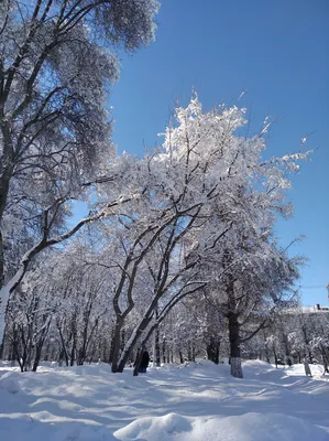 Значок «Слишком Холодно Чтобы Быть Красивой» в Петербурге
