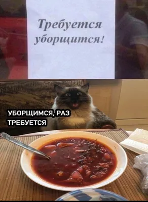 ХОРОШЕЙ ПЯТНИЦЫ!