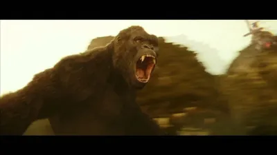 Поздравление сюрприз от огромной гориллы Кинг Конга | Фантазёрия