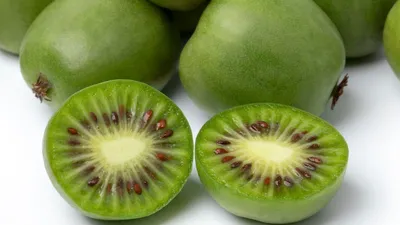 Киви: польза и вред фрукта для организма - Афиша bigmir)net