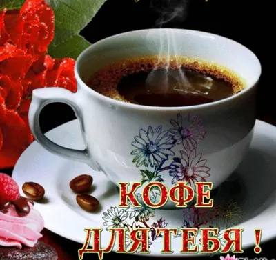 Стихотворение «Я сварю тебе кофе», поэт Легкодимова Татьяна