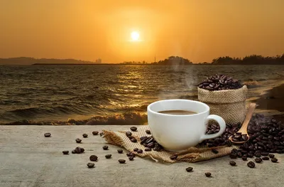 Волна - Доброго утра и отличного дня! ⛵️ #ресторанволна #море💙 #кофе  #coffee #coffeetime #vitaminsea #доброеутро #завтрак #пестово #зеленыймыс  #доставка #утро #пестовскоеводохранилище | Facebook