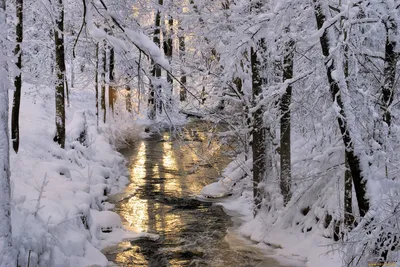 Погода в Украине - Украину накроет снегом: синоптик дала прогноз на конец  зимы и начало весны - Прогноз погоды