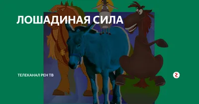 Обзор мультфильма «Конь Юлий и большие скачки» — Афиша Ташкента