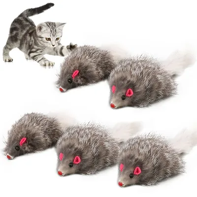 Кошка и мышка | Пикабу