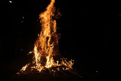 Горит огонь. Бернс костра в лесу. Текстура горящего огня. Костер для  приготовления пищи в лесу. Горящая сухие ветви. Стоковое Изображение -  изображение насчитывающей сух, жара: 187841039