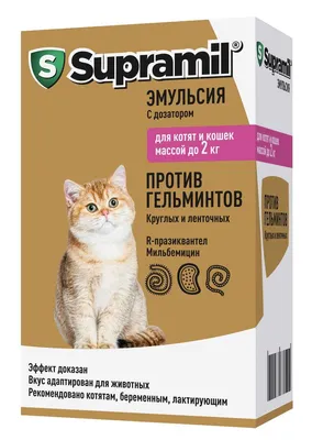 Купить корм для котят Royal Canin INSTINCTIVE KITTEN в желе -  Интернет-зоомагазин Zoolove