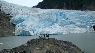 Черный бальзам для губ с экстрактом бурых водорослей Бельведер купить  недорого в Москве