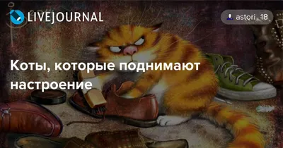 Ешь, не волнуйся: продукты, которые поднимают настроение. 23 декабря 2022  г. Кубанские новости