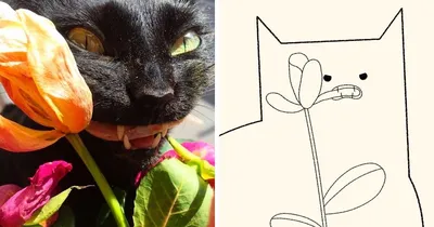 Кошка. Рисунок масляной пастелью | Пикабу