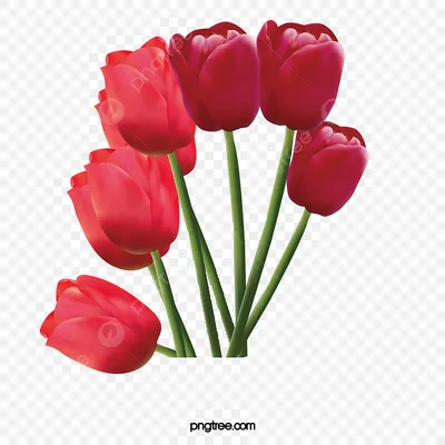 Картина Красные тюльпаны ᐉ Стрыжак Мария ᐉ онлайн-галерея Molbert.
