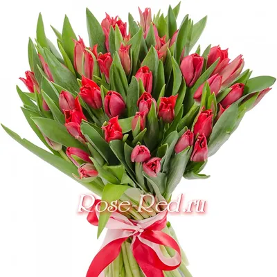 Белые и красные тюльпаны в оформлении «Factura .three»