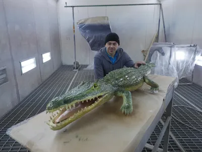Как отличить аллигатора от крокодила | Пикабу