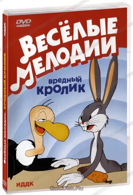 Кролик — символ Нового года 2023: трогательные фото милых кроликов и  забавные факты о них (20+ фото) | Какова Красота | Дзен