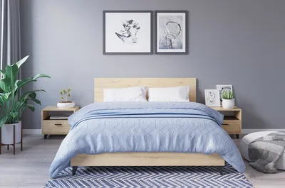 Расположение кровати по феншуй: Как правильно поставить кровать в спальне и  где | Houzz Россия
