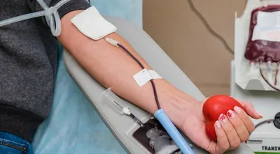 Как группа крови влияет на жизнь человека - видео - 13.01.2022, Sputnik  Азербайджан