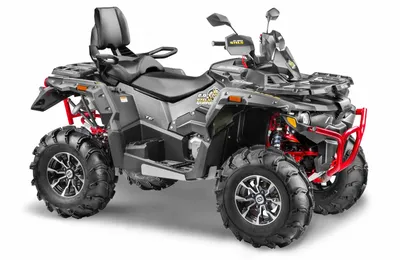 Квадроцикл STELS ATV GUEPARD 850 PE (TROPHY PRO) 2.0 купить выгодно