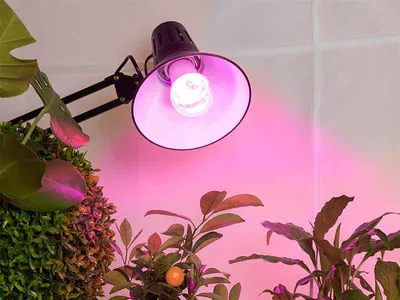 Лучшие умные лампы для дома: выбор ZOOM. Cтатьи, тесты, обзоры
